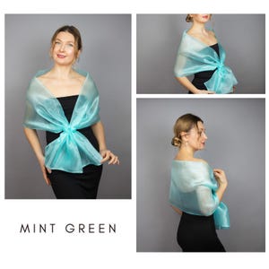 Light champagne organza wrap champagne pull through wrap bridesmaid shawl champagne organza scarf champagne loop wrap woman organza shrug Mint green