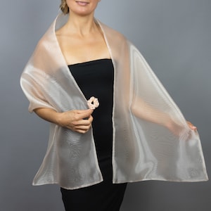 May include: A sheer, light pink shawl draped over a person's shoulders. The shawl is made of a delicate, flowing fabric.
