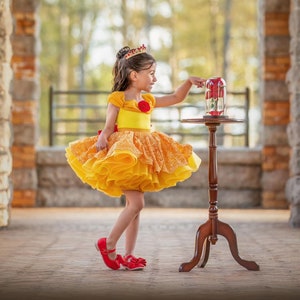 Belle fancy dress costume sales
