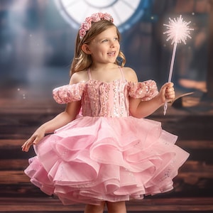 Glinda Dress, Glinda Costume, Wizard of Oz Costume, Wicked Dress, Wicked Costume, Good Witch Costume, Pink Pageant dress