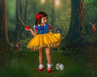 Abito ispirato a Biancaneve, costume di Biancaneve, costume di Halloween, abito da principessa, abito da compleanno della principessa, abito da compleanno di Biancaneve,