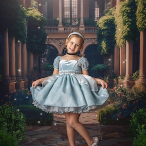 Silver Cinderella Dress - Etsy