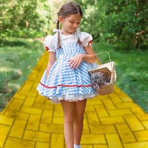 Dorothy Dress, Dorothy Costume, Wizard of Oz Costume, Girls Dorothy Dress, Wicked Dress, Glinda dress