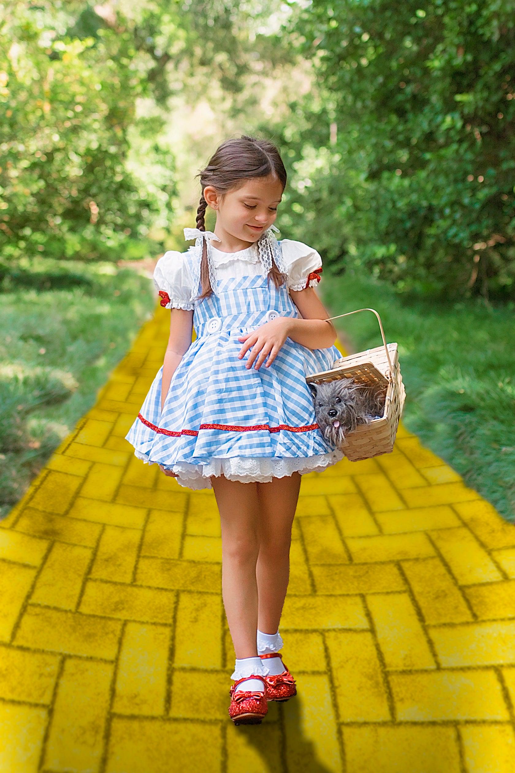 Rubie's Wizard Of Oz Dorothy Tutu Dress Costume - 75th Anniversary Edition, Child Small