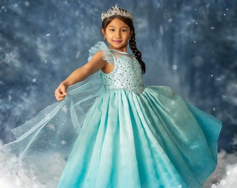 Elsa Inspired Dress, Elsa Costume, Elsa Halloween Costume, Frozen Dress, Frozen Birthday Dress, Elsa Birthday Dress, Elsa Halloween, Anna