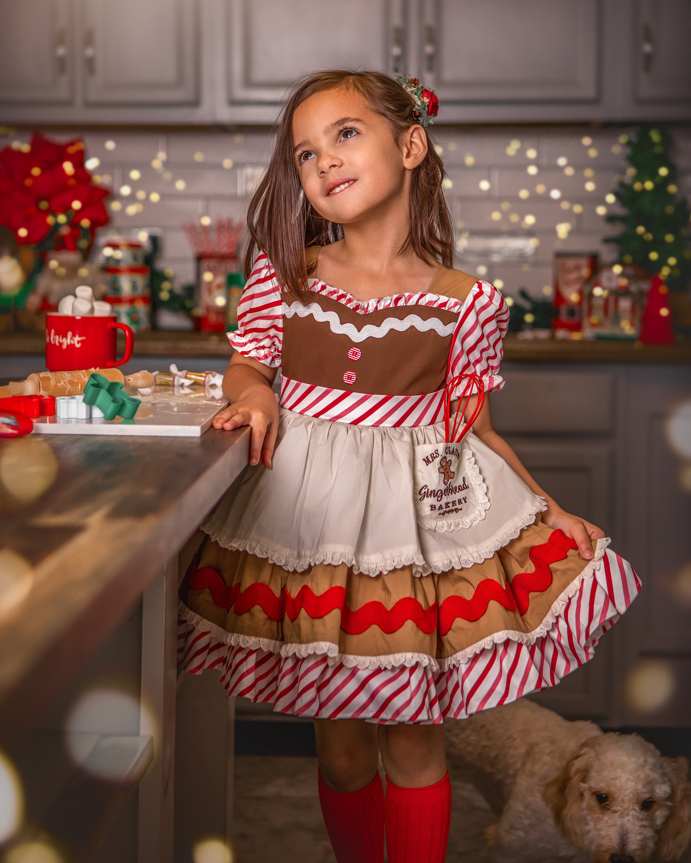 Gingerbread christmas dress hot sale