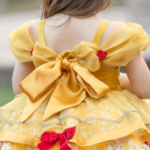 Girls Belle Dress, Girls Belle Costume, Girls Halloween costume, beauty and beast dress, girls princess costume, girls princess dress, image 2