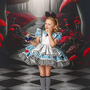 Alice in wonderland dress, Alice in wonderland costume, Alice dress, Alice halloween costume, girls Alice dress, Onederland birthday dress