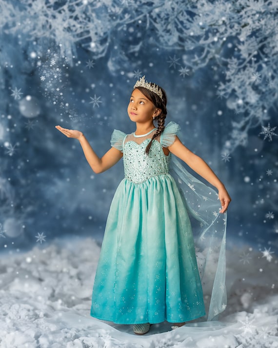 Elsa Inspired Dress, Elsa Costume, Elsa Halloween Costume, Frozen Dress, Frozen Birthday Dress, Elsa Birthday Dress, Elsa Halloween, Anna