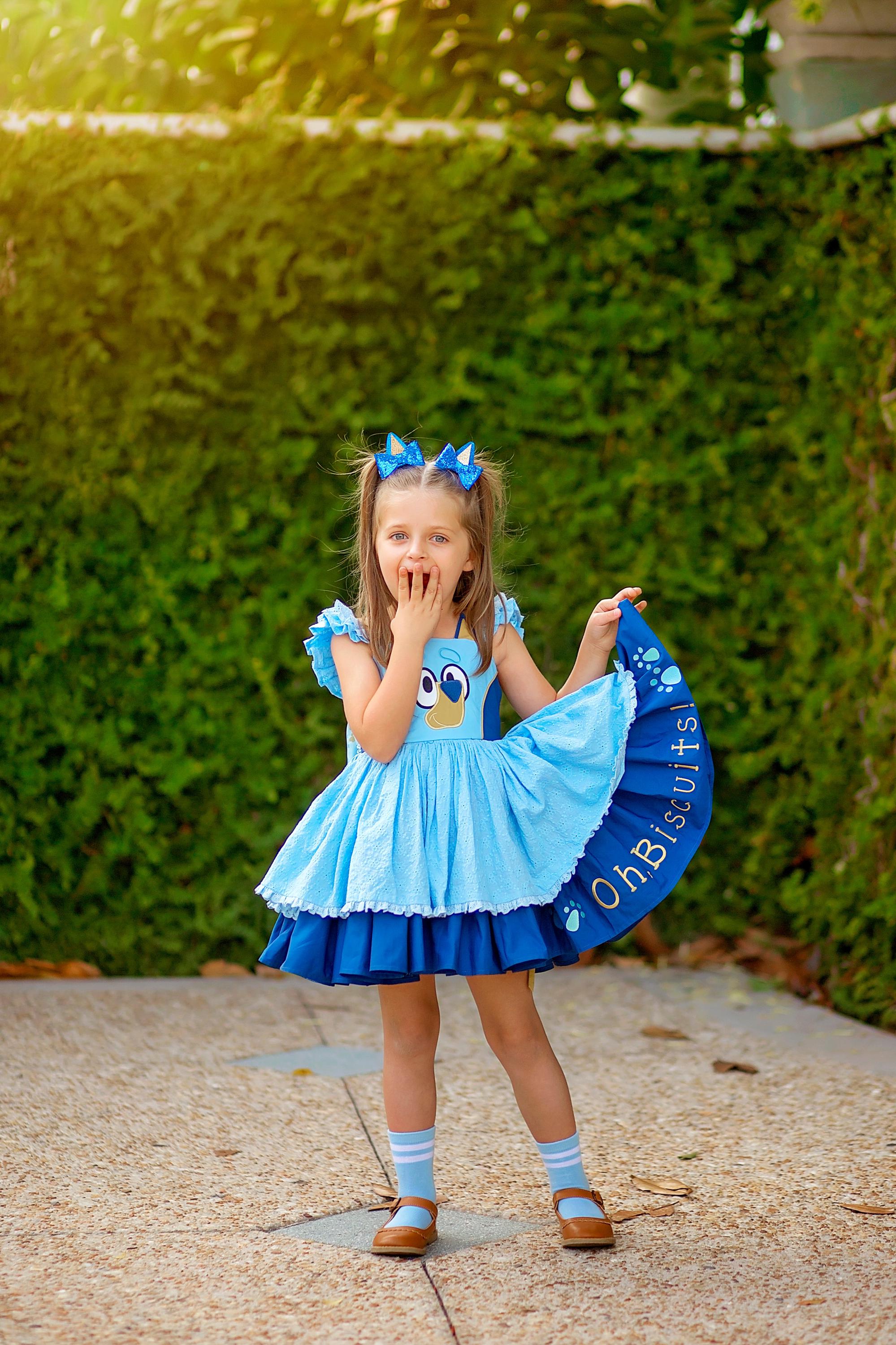 Bluey Dress - Etsy