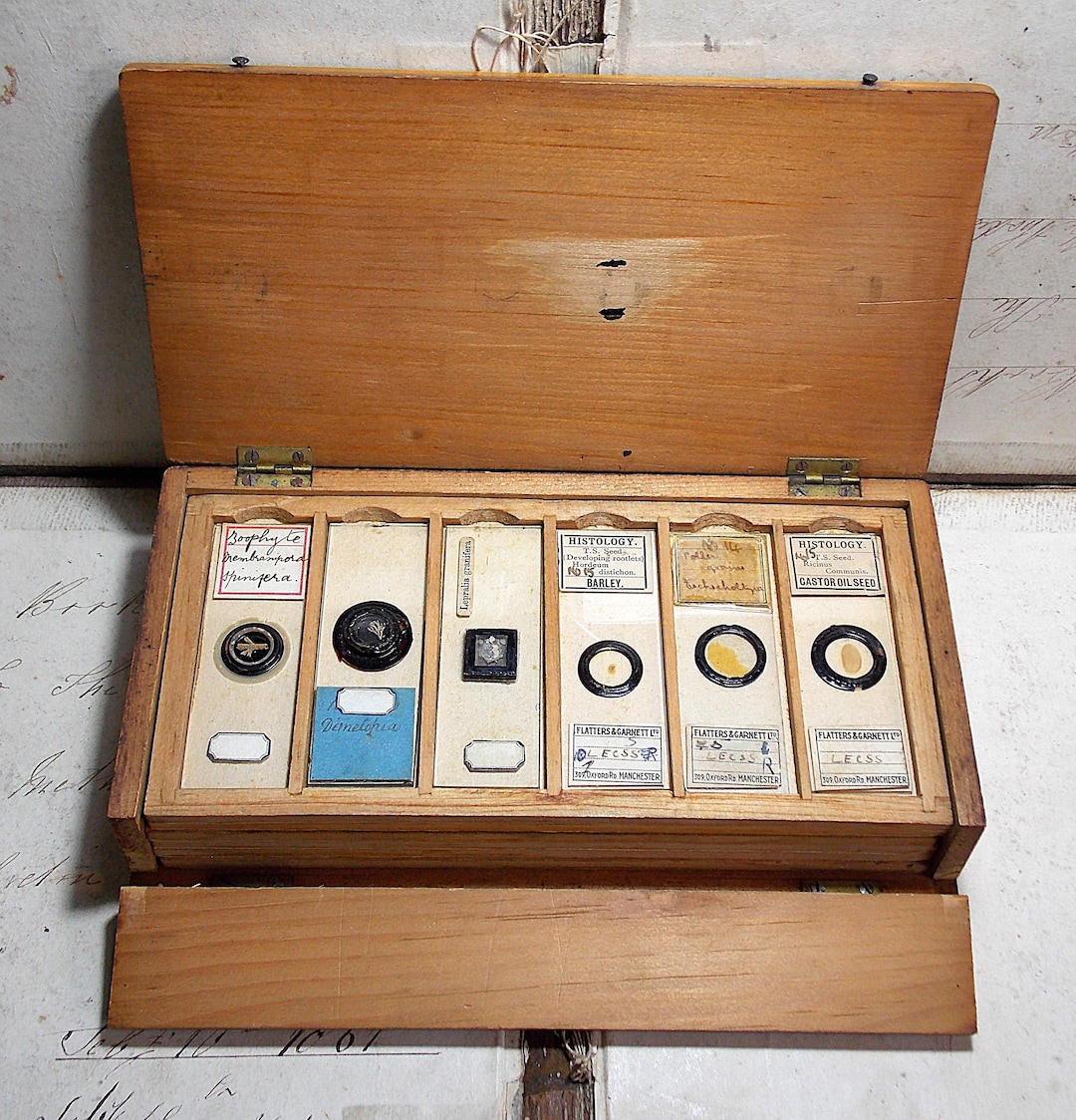 Vintage Microscope Box Antique Vintage Wooden Microscope Slides Box With 14 Slides and 6 Trays ...