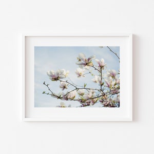 Digital Download of Pink Magnolia Flower print, Flower Photo, Floral art, Flower Wall Art, Printable flower print, Digital Download,