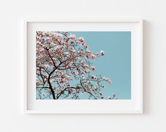 Magnolia tree in bloom photo, Floral wall art, Flower Photography,  Printable flower Art, Downloadable art, instant download