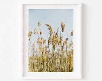 Digital download, Botanical print, Reeds Prints, Plant Photo, Nature Photography,  Instant Download photo, Digital download, Wall Art