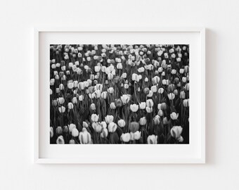 Digital Download, Black and White Tulip field print, Flower print,  Tulip photo, Floral Art Print,   Printable flower Art