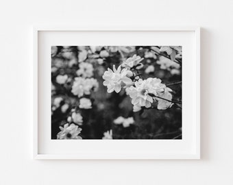 Digital Download, Black and white flower photo, Floral art, Magnolia Print, Printable flower Art, Digital Download, Downloadable Photo