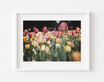 Tulip Field Photo Print, Flower Photography, Floral Wall Art (Digital Download)