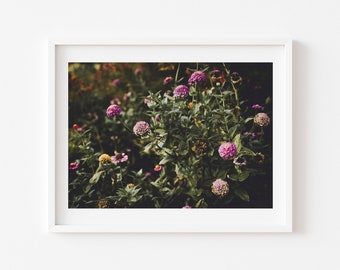 Digital Download, Flower print, Flower Photography Print, Flower Wall Art,   Home decor, Pink flower photo