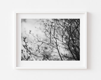 Digital Download, Black and white tree photo, Naturel art, Fresh leaves photo, Printable nature Art, Digital Download, Downloadable Photo