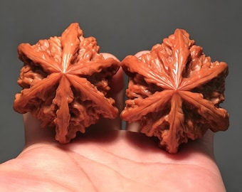 Sombrero oficial exótico personalizado de nogal Wenwan, 5/6 lóbulos, 44-50 mm, pátina/natural, objeto coleccionable hecho a mano, regalo para ejercitar las manos