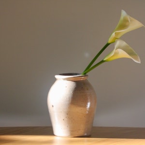 May include: A beige ceramic vase holds two calla lilies with white petals and green stems. The vase sits on a wooden surface, with a neutral background. The flowers are illuminated by sunlight.