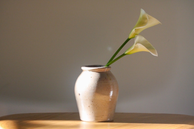 May include: A beige ceramic vase holds two calla lilies with white petals and green stems. The vase sits on a wooden surface, with a neutral background. The flowers are illuminated by sunlight.