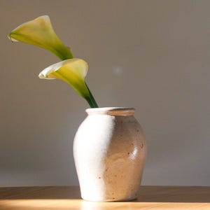 May include: A beige ceramic vase holds two calla lilies with white and yellow blooms. The vase sits on a wooden surface, with a neutral background. The flowers are in full bloom, with green stems.