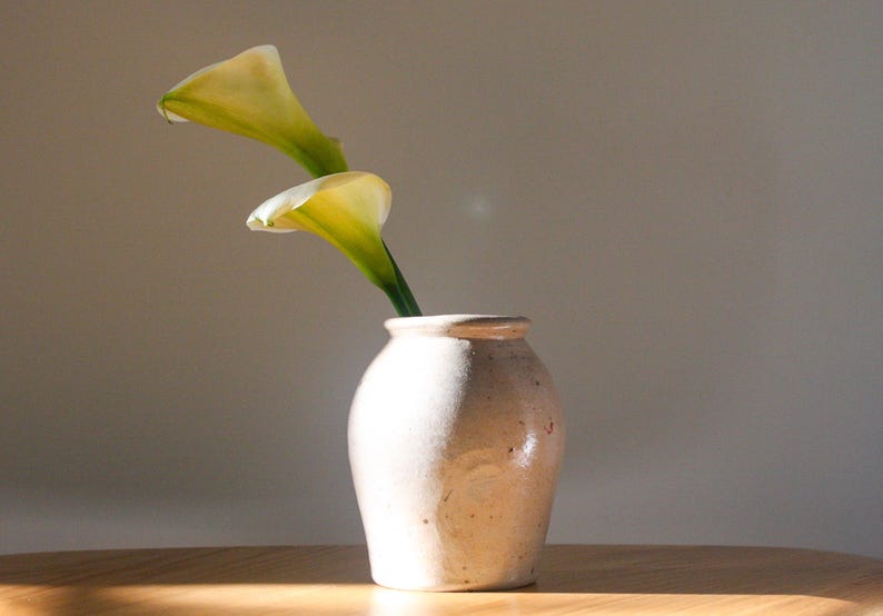 May include: A beige ceramic vase holds two calla lilies with white and yellow blooms. The vase sits on a wooden surface, with a neutral background. The flowers are in full bloom, with green stems.