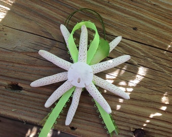 White Starfish and Mini Sand Dollar Boutonnières for Beach Weddings Special Events You Choose the Color Trim