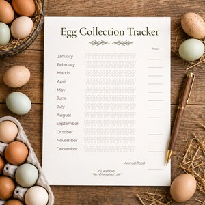 Op de afbeelding: Een "Egg Collection Tracker"-blad met maandelijkse en jaarlijkse totalen, een pen en diverse gekleurde eieren. De tracker staat op een houten oppervlak, met eieren in een mand en een doos. De tekst "Egg Collection Tracker" staat bovenaan.