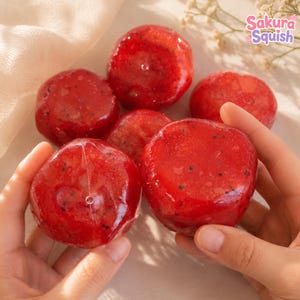 May include: A collection of round, glossy red squishy toys with small black speckles resembling dragon fruit. The items have a smooth, translucent texture and a circular indentation on the surface. The text Sakura Squish is visible.