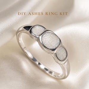DIY Three Stone Pet Ashes Ring Kit, Sterling Silver Multi Pet Memorial Keepsake