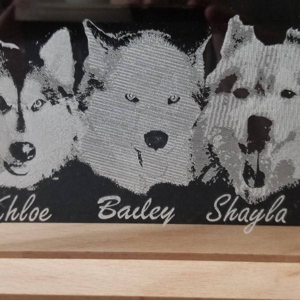 Pet portraits! Customized one-of-a-kind pet engraving for that special animal lover. Etched engraving on acrylic. Memorials; celebrations.