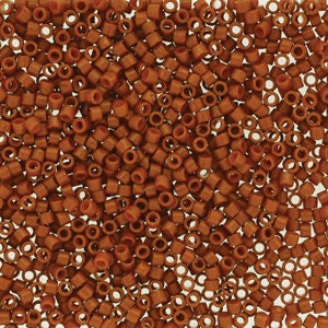 May include: A large quantity of small, round, orange-brown seed beads. The beads are uniform in size and have a smooth, glossy finish.