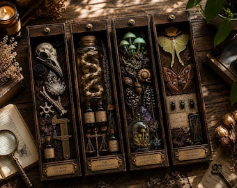 Gothic Bookmark Collection | Curiosity Cabinet Designs with Moths and Oddities