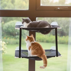 May include: A two-tiered cat window perch with two cats. The top level holds a gray and white cat, while the bottom level holds an orange and white cat. The perch is black with white suction cups, and is mounted on a window.