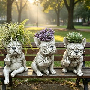 May include: Three gray bulldog planters with different plants in their heads, sitting on a wooden bench. Each bulldog is giving the middle finger. The plants include green and purple succulents and a spiky green plant.