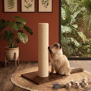 Puede incluir: Un rascador para gatos cilíndrico y alto con una cuerda de sisal de color crema enrollada sobre una base cuadrada de madera de color marrón oscuro. Un gato esponjoso de pelaje claro y puntos oscuros araña la superficie texturizada.