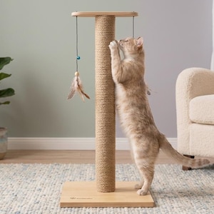 May include: A light brown cat stands on its hind legs, scratching a tall, cylindrical scratching post wrapped in tan sisal rope. The post features a light wood base and top, with a dangling toy made of brown feathers and a small blue bead.