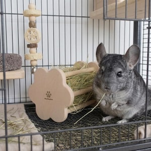 Puede incluir: Una chinchilla gris sentada dentro de una jaula de alambre junto a un comedero de heno de madera clara con forma de flor y un logo de huella. La jaula incluye un juguete de lufa colgante, una piedra pómez gris y una alfombrilla beige.