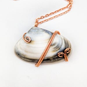 Neuseeland Muschelkette in Kupfer gefasst