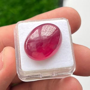 May include: A polished, oval-shaped ruby gemstone, displayed in a clear plastic case. The ruby has a deep red colour with a smooth, reflective surface. The gemstone is set against a white background.