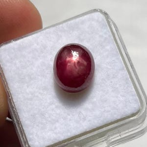 Op de afbeelding: Een ovale robijn edelsteen met een ster effect, gepresenteerd in een transparante plastic doos met een witte binnenkant. De dieprode steen is in cabochon geslepen en toont een ster.