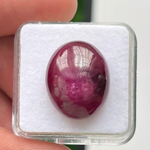 May include: A polished, oval-shaped ruby gemstone, presented in a clear plastic case. The ruby is a deep red colour with a slight purplish hue and a smooth, reflective surface. The gemstone is held by a hand, showcasing its size and shape.