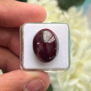 Può includere: Una gemma ovale di colore rosso scuro intenso con una superficie a cabochon liscia e lucida. La pietra è inserita in un piccolo supporto quadrato in schiuma bianca all'interno di una scatola espositiva in plastica trasparente.