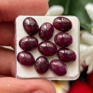 Könnte beinhalten: Eine Sammlung von neun ovalen, tiefroten Cabochon-Edelsteinen, die in einer quadratischen weißen Präsentationsbox angeordnet sind. Jeder Stein hat eine glatte, polierte Oberfläche mit einem reflektierenden Glanz in dunklem Karmesinrot.