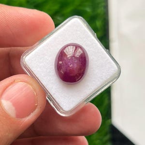 Op de afbeelding: Een gepolijste, ovaalvormige, diep magenta-rode edelsteen met een gladde, afgeronde cabochon-slijpvorm. De steen is geplaatst in een vierkant, doorzichtig plastic displaydoosje met een witte schuimrubberen inzet voor presentatie.
