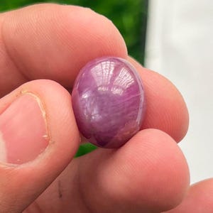 Op de afbeelding: Een gladde, ovaalvormige cabochon edelsteen met een diepe magenta en paarse tint. De steen heeft een gepolijst, reflecterend oppervlak dat een subtiele stervormige lichtreflectie vertoont over de afgeronde, doorschijnende bovenkant.