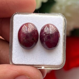 Può includere: Due gemme cabochon rosso scuro di forma ovale con superficie liscia e lucida e inclusioni interne visibili, disposte fianco a fianco all'interno di un contenitore quadrato in plastica trasparente con base in schiuma bianca.