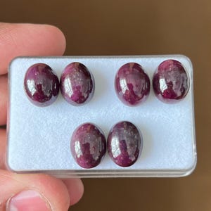 May include: Six oval-shaped, deep red cabochon gemstones arranged in a clear plastic display box with a white foam insert. Each stone features a smooth, polished surface with visible internal inclusions and reflective highlights on the top.